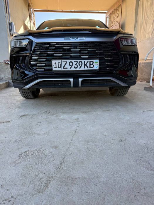 Other Song Pro DM-i Champion 2025