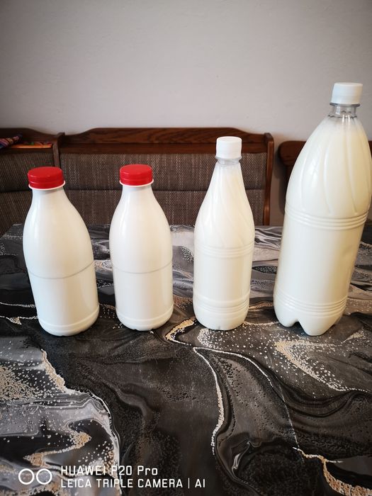 Lapte proaspăt și iaurt natural de Capră