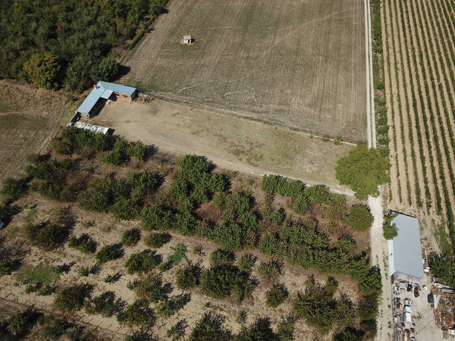 Продава се Парцел в Асеновград - 2250 кв.м за 16 €/кв.м - Снимка #5