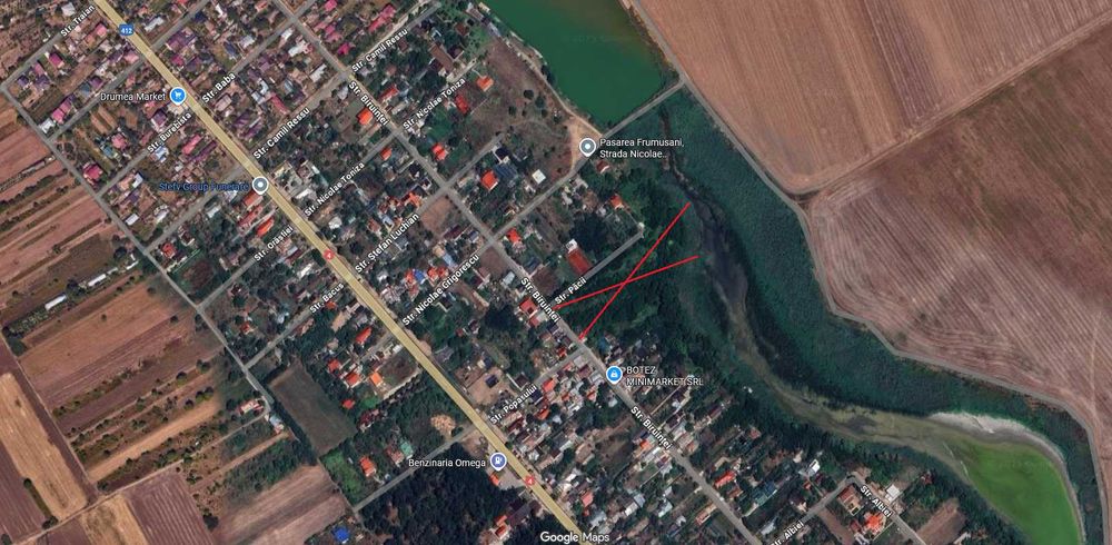 Teren intravilan 10000 mp Frumusani Pasarea Calarasi deschidere la lac