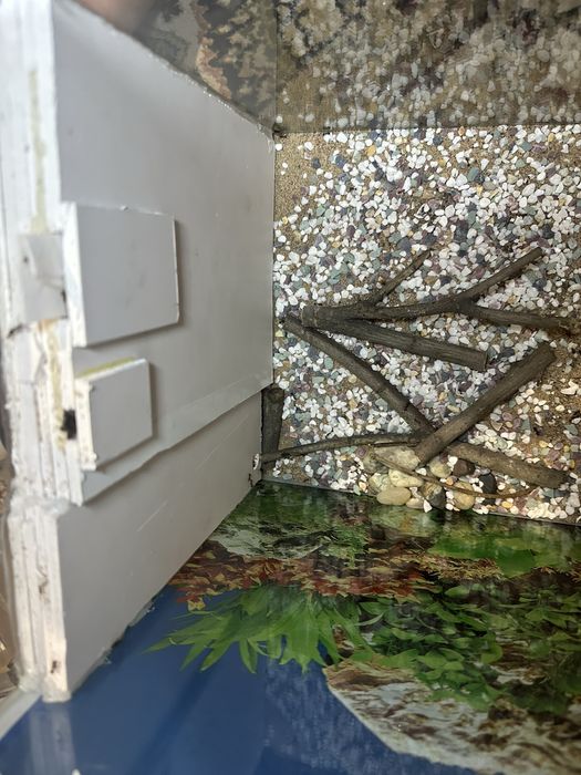 Муравьи ( муравьиная ферма ) состав 1/1000+