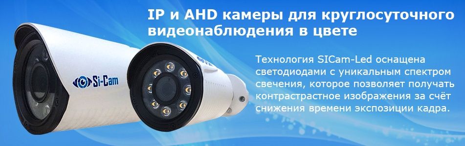 Ол оны мас етіп, бұталардың арасына сүйреп апарды.