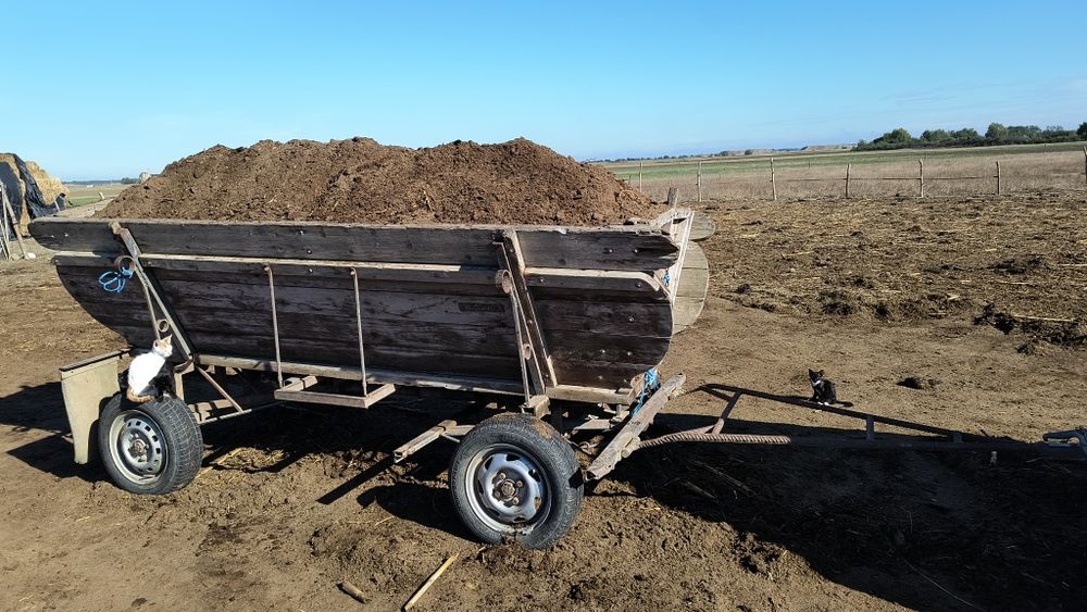 Vând  rănită pt solare