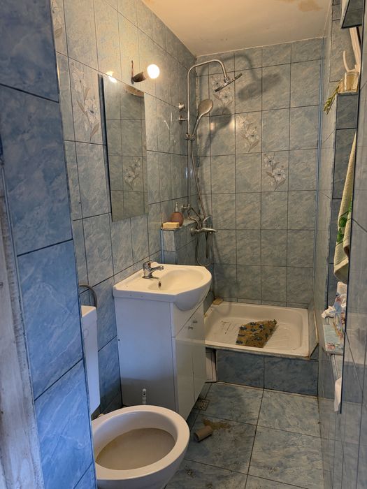 Vand casa in Viisoara Teleorman