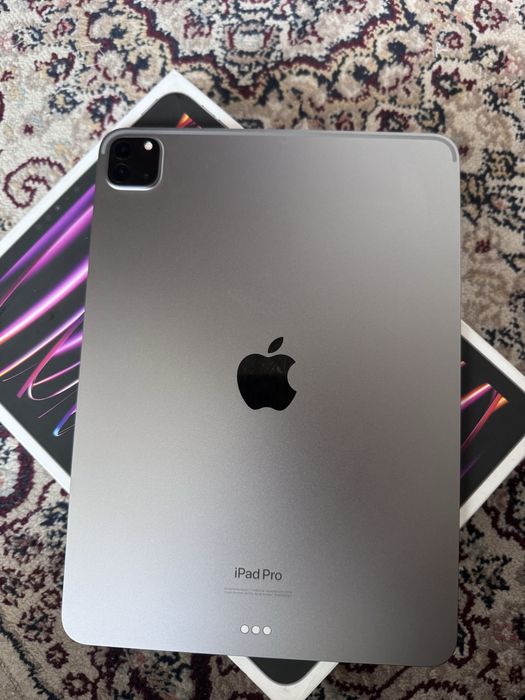 Ipad M2  11 inch