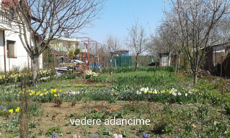 Teren de casa Frumușani