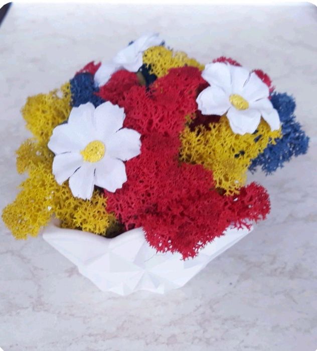 Кашпа със скандинавски мъх