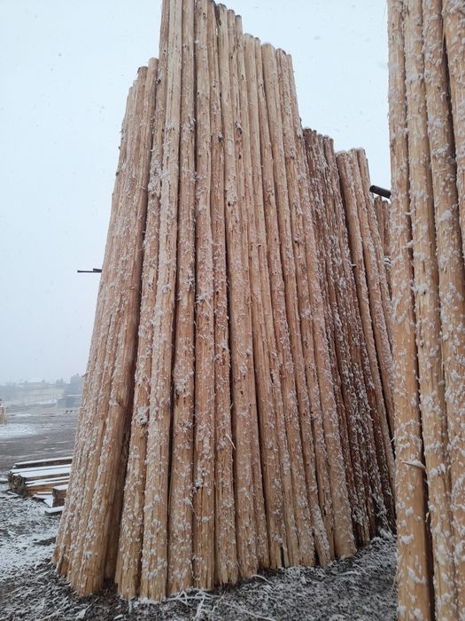 ARZON TERAK masulotlari