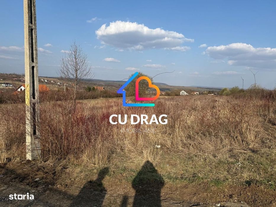 Teren intravilan cu toate utilitatile si drum amenajat Daia