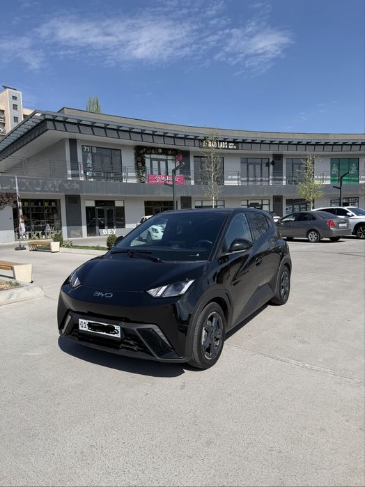 2024 Byd seagull 13.300$