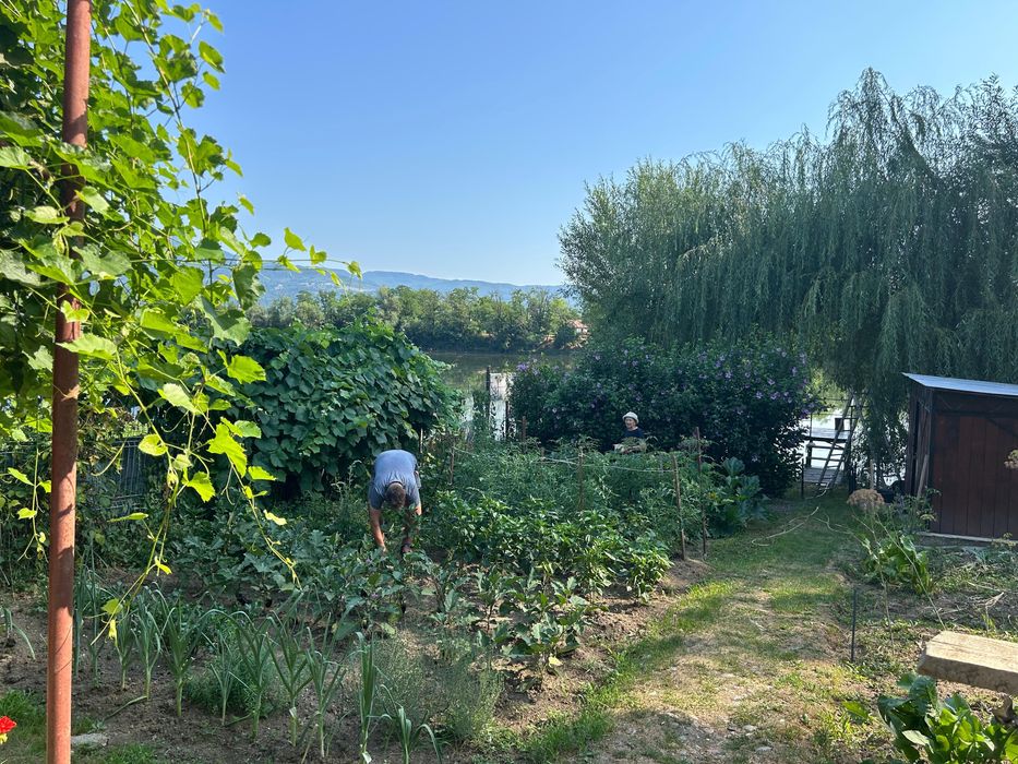 Inchiriere cabana Calimanesti Valcea