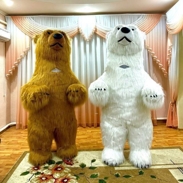 Ayiqlar sotiladi | Ayiq sotiladi |