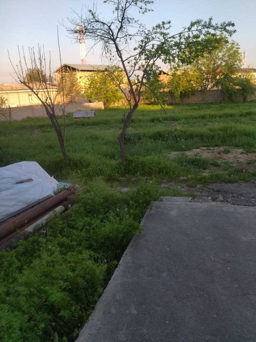 Hovli yer narxida / Zenit