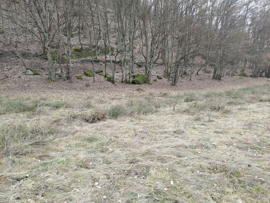 Loc pentru casa de vacanta