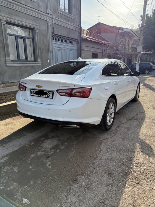 Malibu 2 2/4 polni primer qilingan