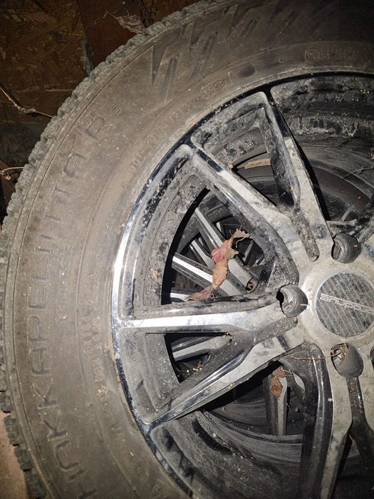 Nokian hakkapeliitta R5