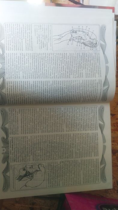 Самая откровенная книга о сексе