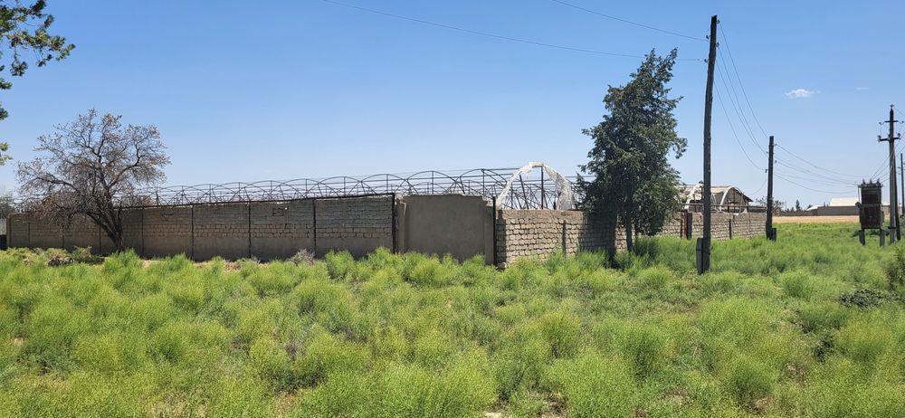 Парник сотилади. (Нархини келишамиз)