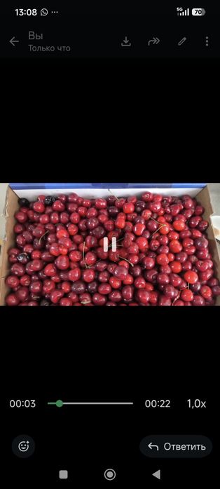Продам черешня свежий с дерева