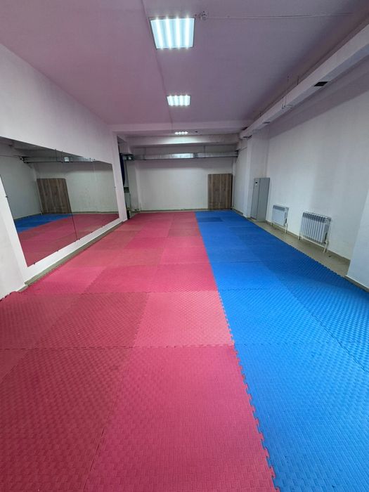 Татами даянг 2.5 см