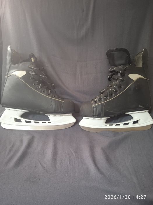 Коньки коньки коньки