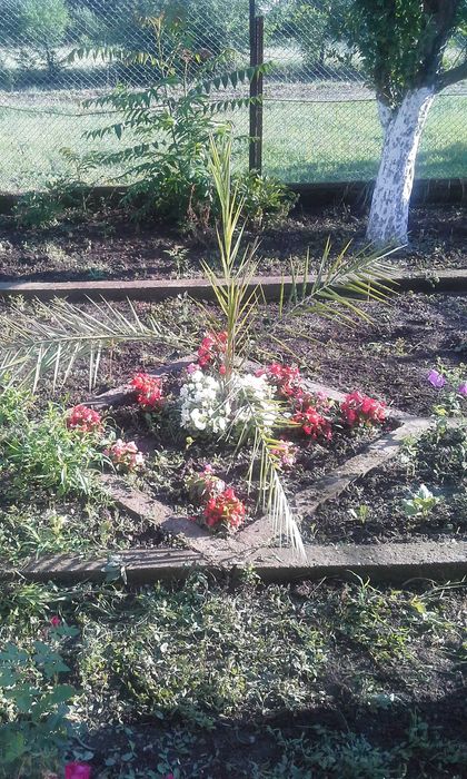 Продава се Къща в с. Бутан, Област Враца - 360 кв.м за 190 €/кв.м - Снимка #21