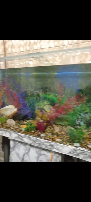 Продам аквариум на 350 л