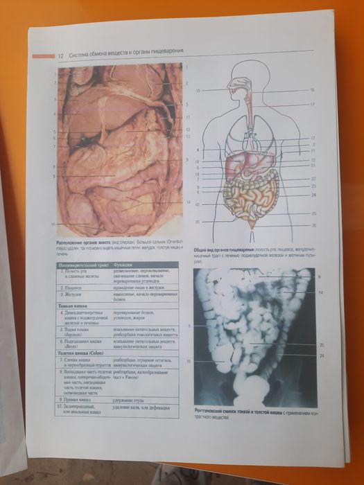Медицинские книги продам