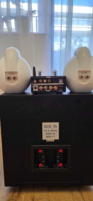 Sistem audio 2.1
