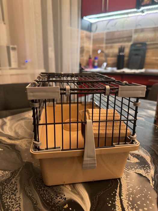 Продам крысу с клеткой