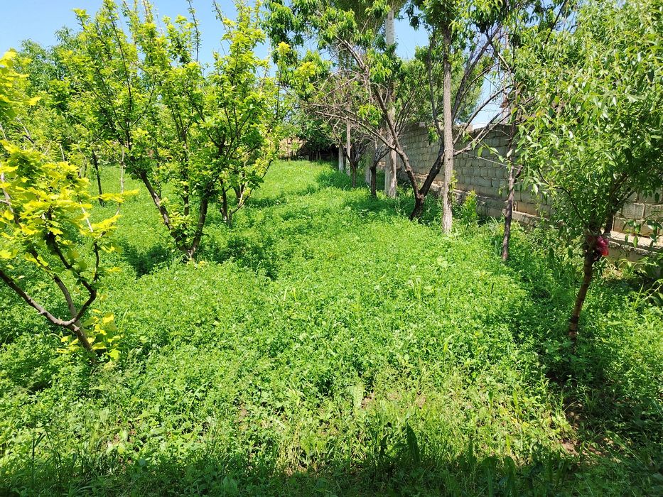 Қибрай тумани Нуробод маҳалласи Мулкчилик кўчасида 8 сотих ер сотилади