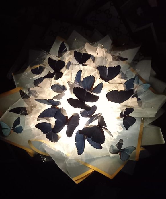 Букет из бабочек