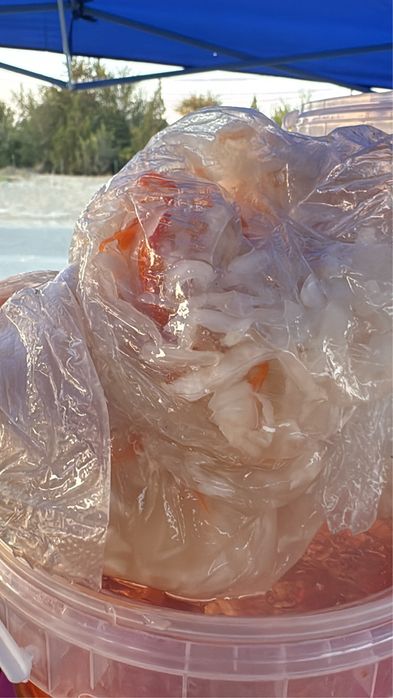 Продается кимчи дом