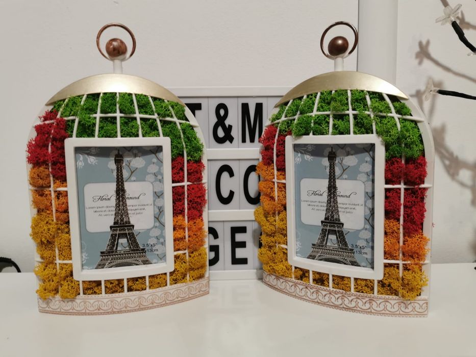 Rama foto colivie cu licheni stabilizati