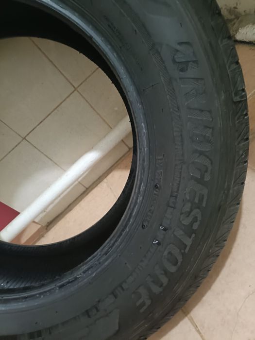Шины Bridgestone Ecopia