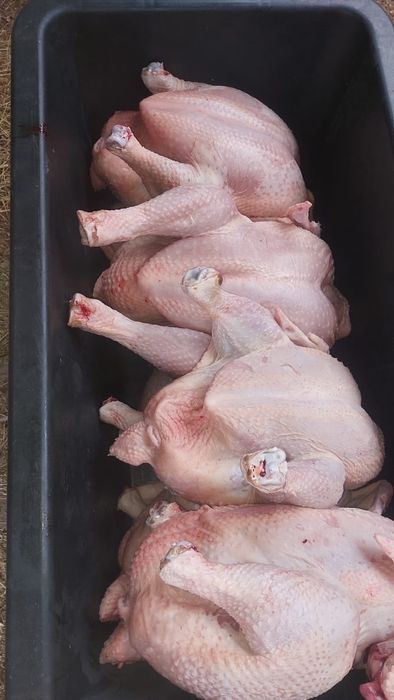 Продам мясо домашних бройлеров.