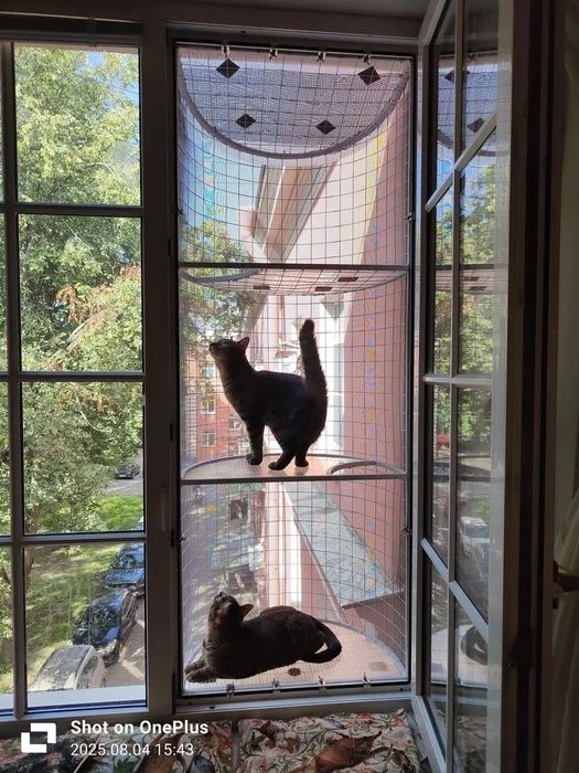 Балкон для кошек!