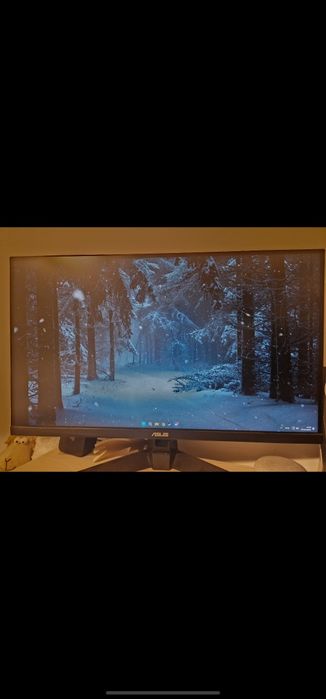 Monitor Asus Tuf VG1A