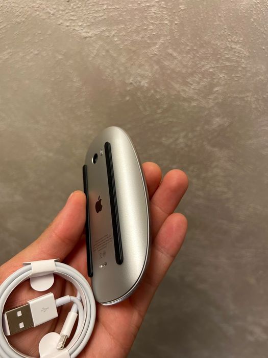 • Apple Magic Mouse 2 •