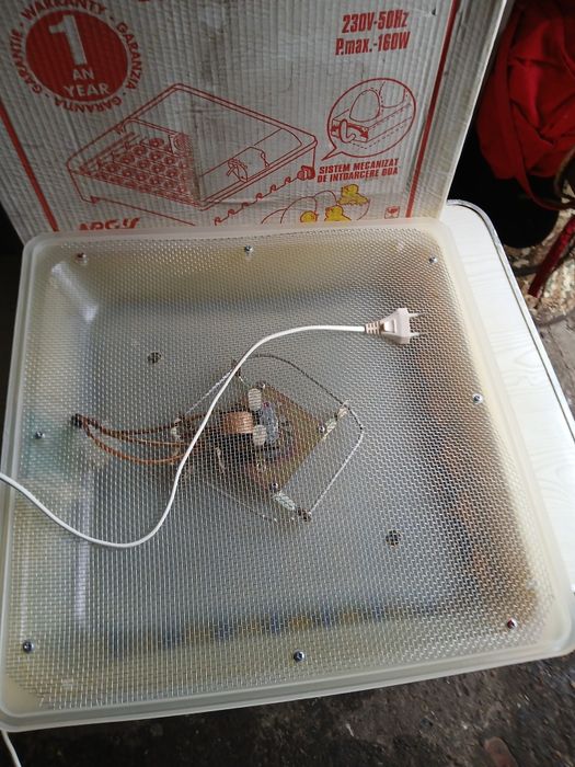 Incubator de oua scos pui.