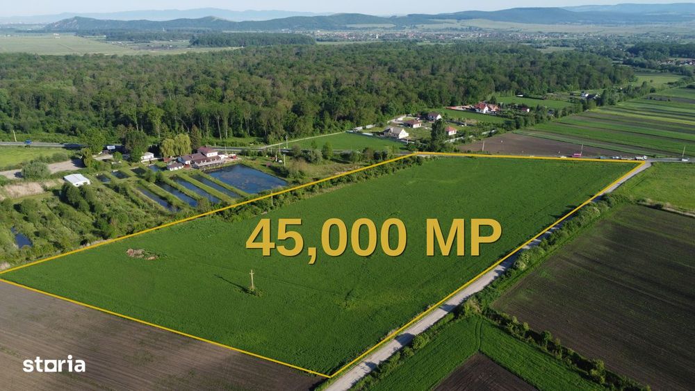 Teren 45.000 Mp | Puz Aprobat | 156 M Direct Dn11 | Prejmer - Brasov