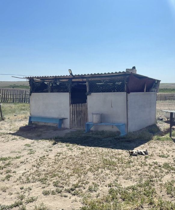 Крестьянское хозяйство