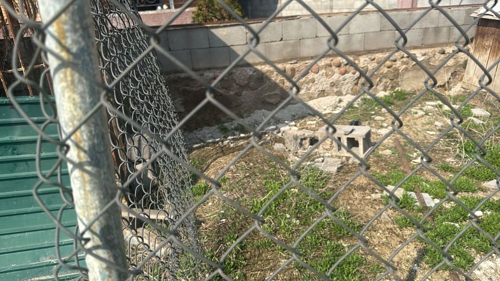 Вальер для собаки