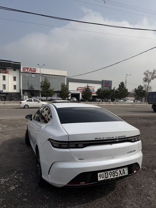 BYD Chazor 120 talik