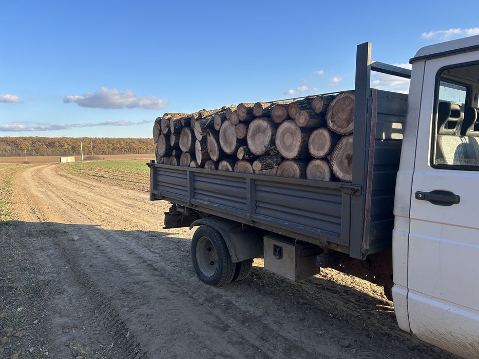 Vand lemne de esenta tare