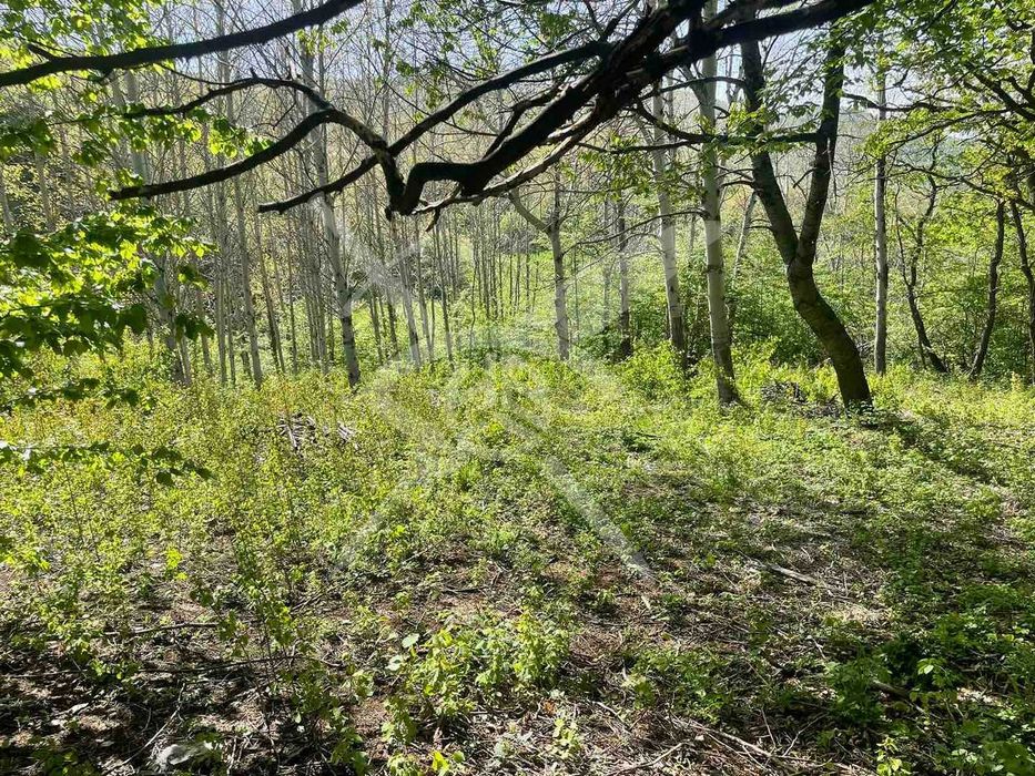 Продава се Парцел в София, Княжево - 600 кв.м за 150 €/кв.м - Снимка #4