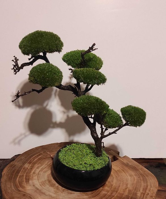 Бонсай със скандинавски мъх и стабилизирани растения!
