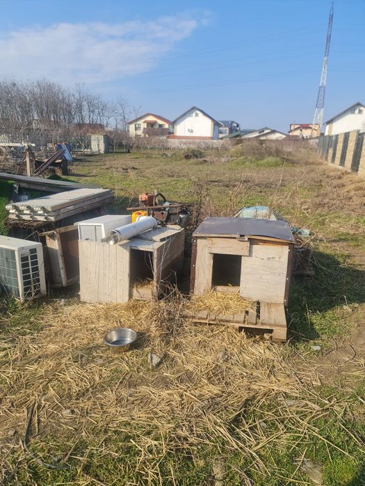 Vind teren  1100 metri  linga benzinaria  moll