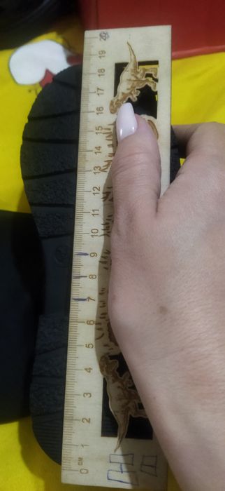 Сапожки осенне весенние