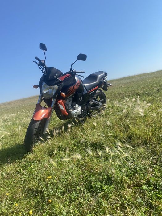 Продам рейсер нитро 250